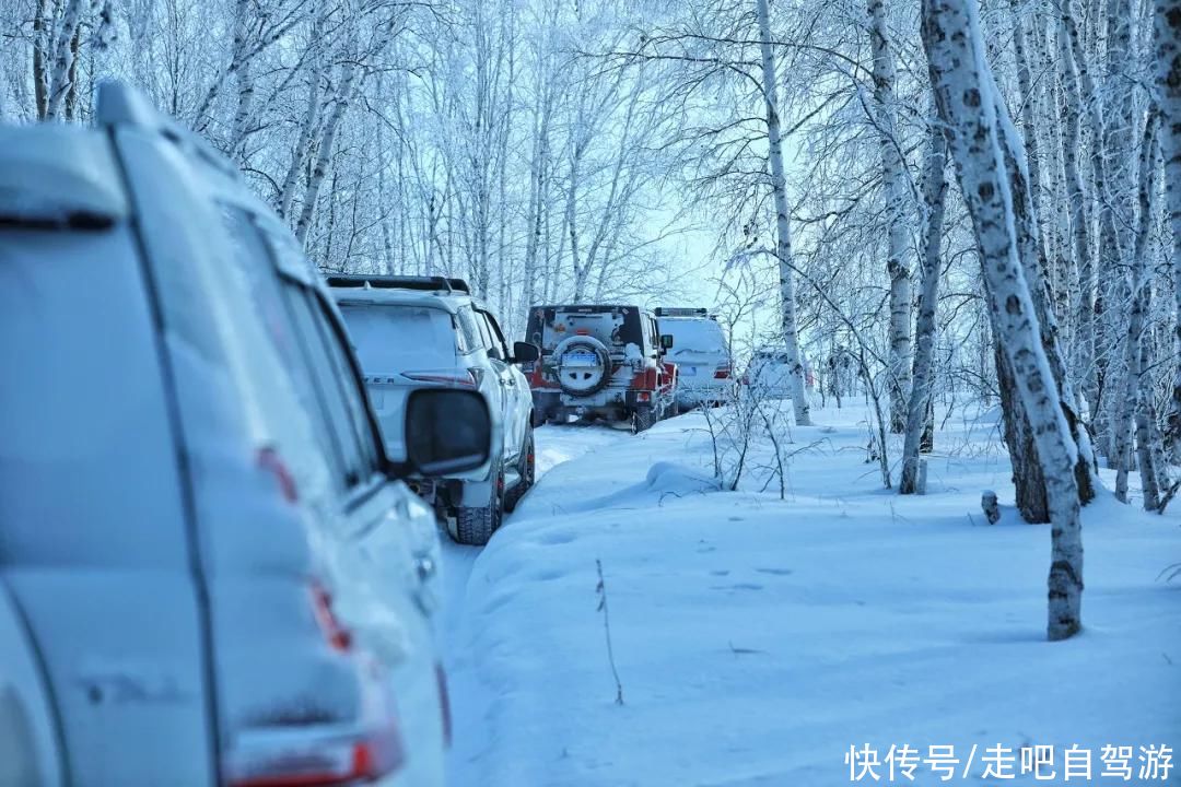 比新疆多一分安逸，比西藏少一分喧闹，这座城市让我爱上了冬天