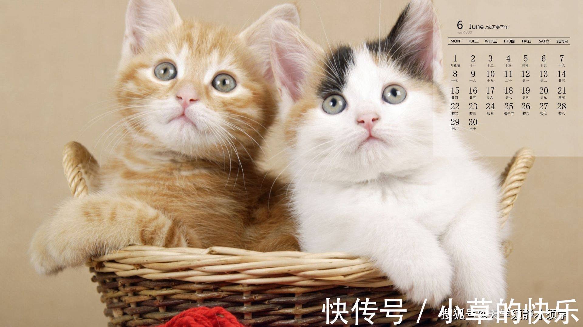 |幽默笑话:小学同事聚会,喝到一半时,大家开始回忆往事!