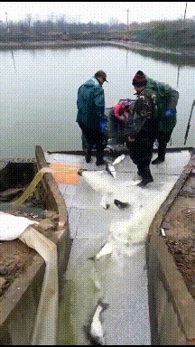 |搞笑GIF:还以为是一条花斑蛇,弄上来一看是一块布