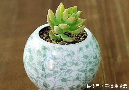 这些破烂不要扔,做成“小花盆”,个性又漂亮,比买的强“百倍”!