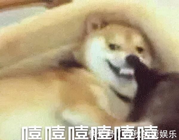 王菲|人人平等，天后除外？