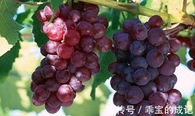 调味品|高血脂患者不能吃大蒜吗？提醒：想要降血脂，建议多吃3种食物