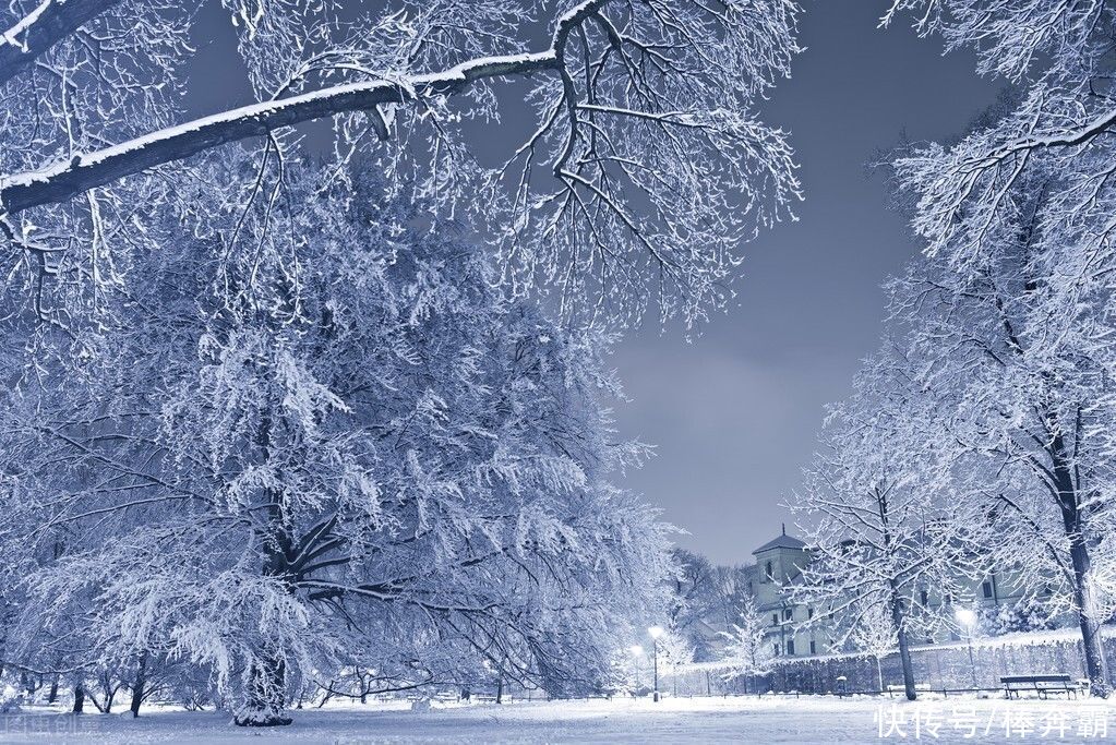  不冻|今日大雪，俗语“大雪不冻倒春寒，大雪不寒明年旱”，今冬冷不冷