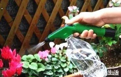 用1种药片水浇花，越浇土壤越疏松，花卉长得旺、不黄叶