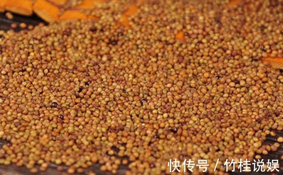 成骨细胞|菟丝子作为一种中药材，功效作用竟然有十多种不止！在乡下到处有