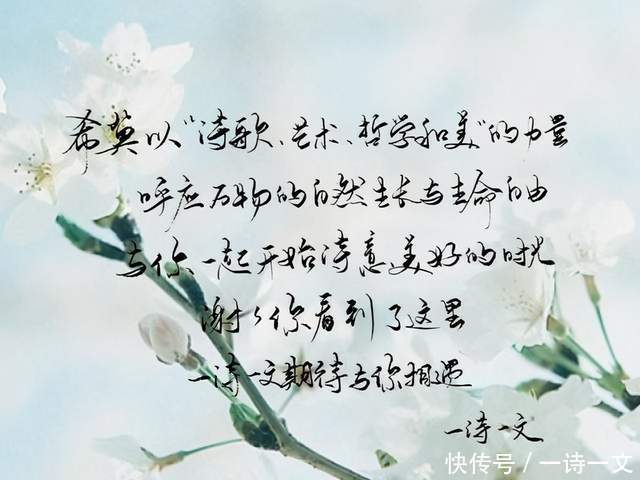 我踏过山河万顷,也栖过湖泊海洋,却唯独因你眉间乱心扉