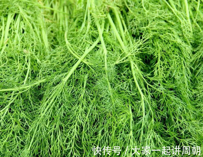 妇科病|妇科病的“良药”找到了，女人经常吃一点，排毒灭菌，保护卵巢