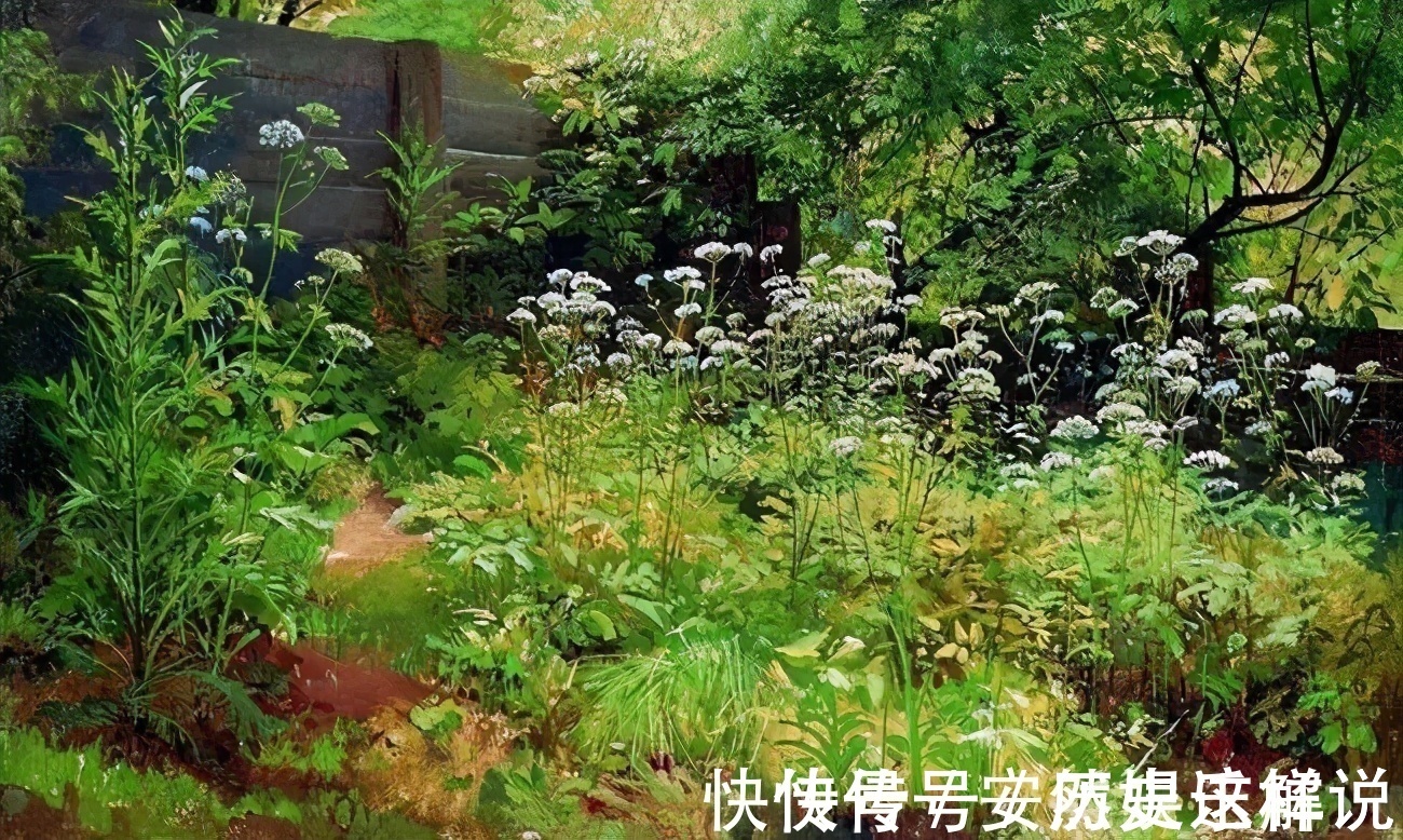 那个时代$俄罗斯杰出风景画家希施金的作品，诗一般的境界！