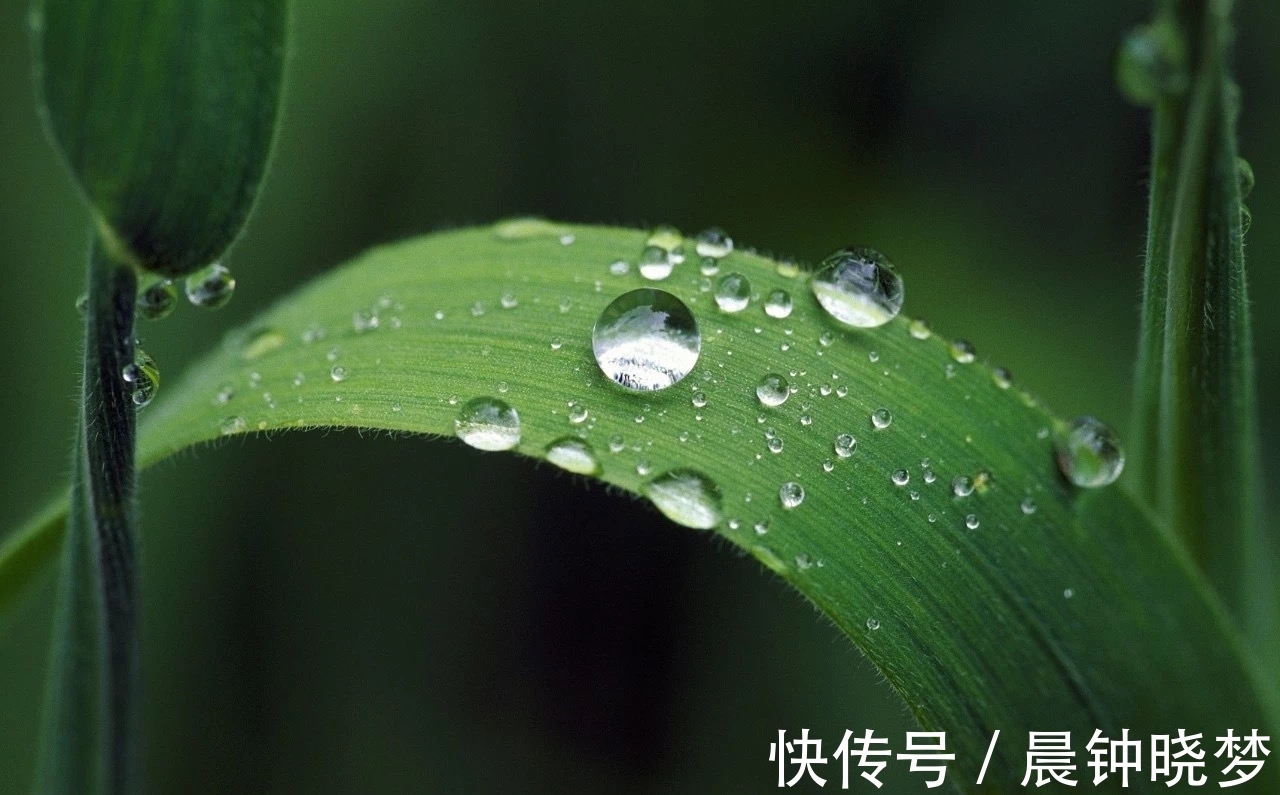 秋夜&秋夜的露珠