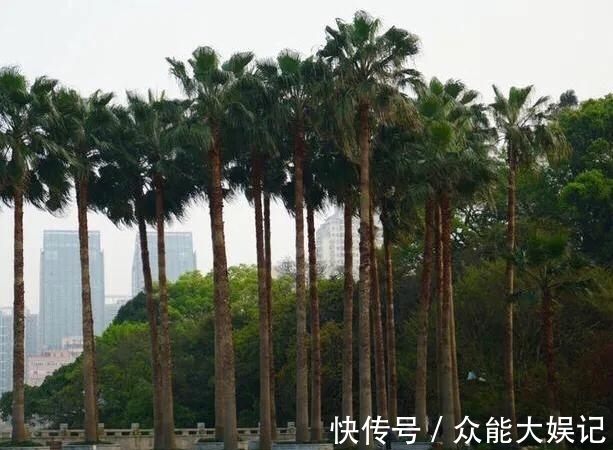 浙江十大赏月胜地，有世界遗产也有5A景区，还有鲜为人知的