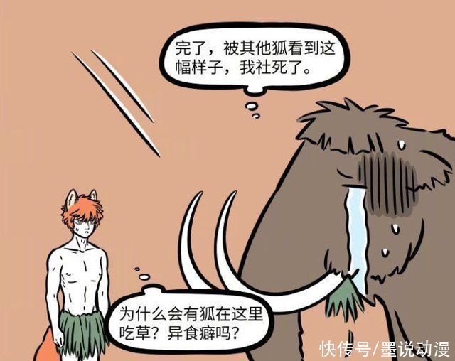 九月|非人哉九月被赤狐嘲笑,两人化身为霸王龙