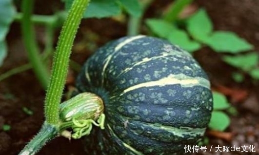 冬天不妨堅(jiān)持吃3種食物,補(bǔ)血活血、延緩衰老,早吃早好!