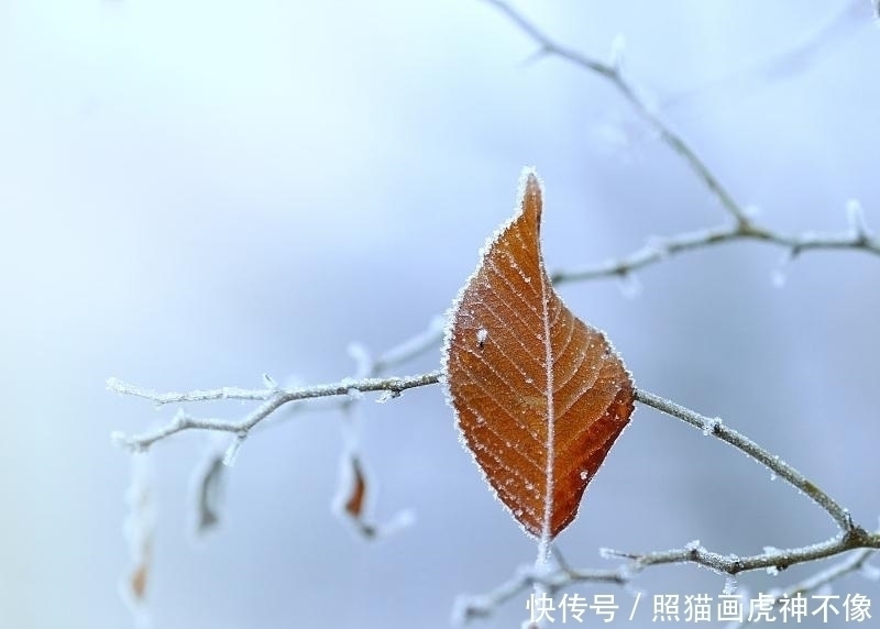 孩子|霜降前后,再疼爱孩子也别放任3种食物,积食又脾虚,孩子长不高