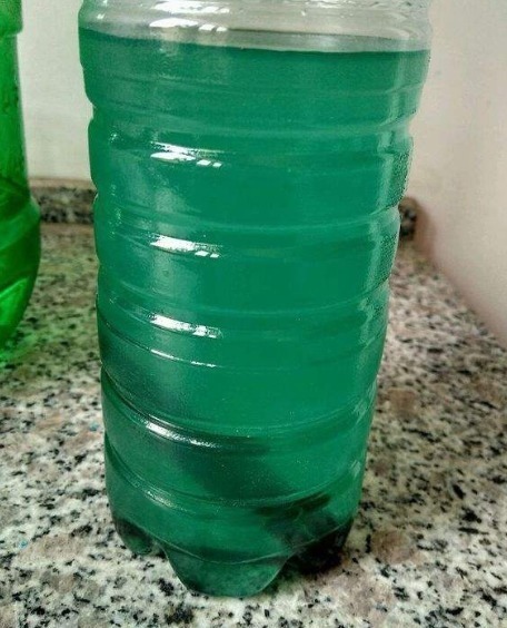 养花|茉莉、栀子花开完花朵,应该快去做“1个动作”,之后能长得更旺