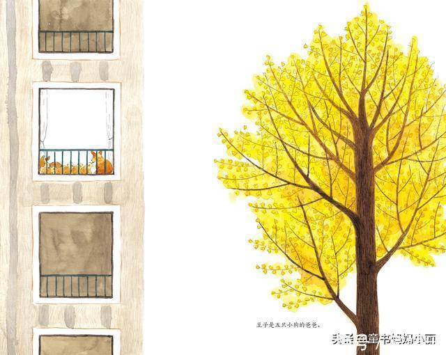 用一棵树的一生,和孩子聊聊生命的意义