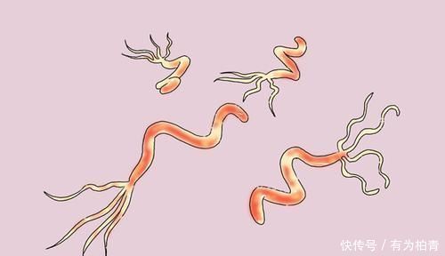 癌症患者体重增加,代表身体好转了肿瘤医生来告诉你答案