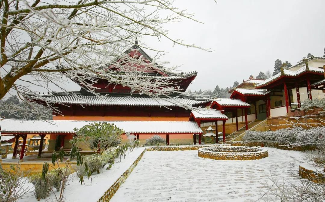 石梁美|一场初雪，天台石梁美成了画中仙~