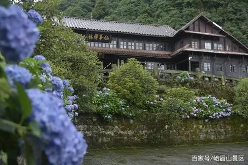 仙峰寺，可不止拜财神，更让人赞叹的还有这些