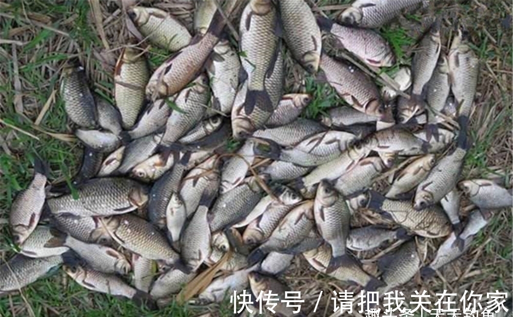 冬季钓鱼,钓位选择2大禁忌,选对了连竿上鱼,选错了只有当空军