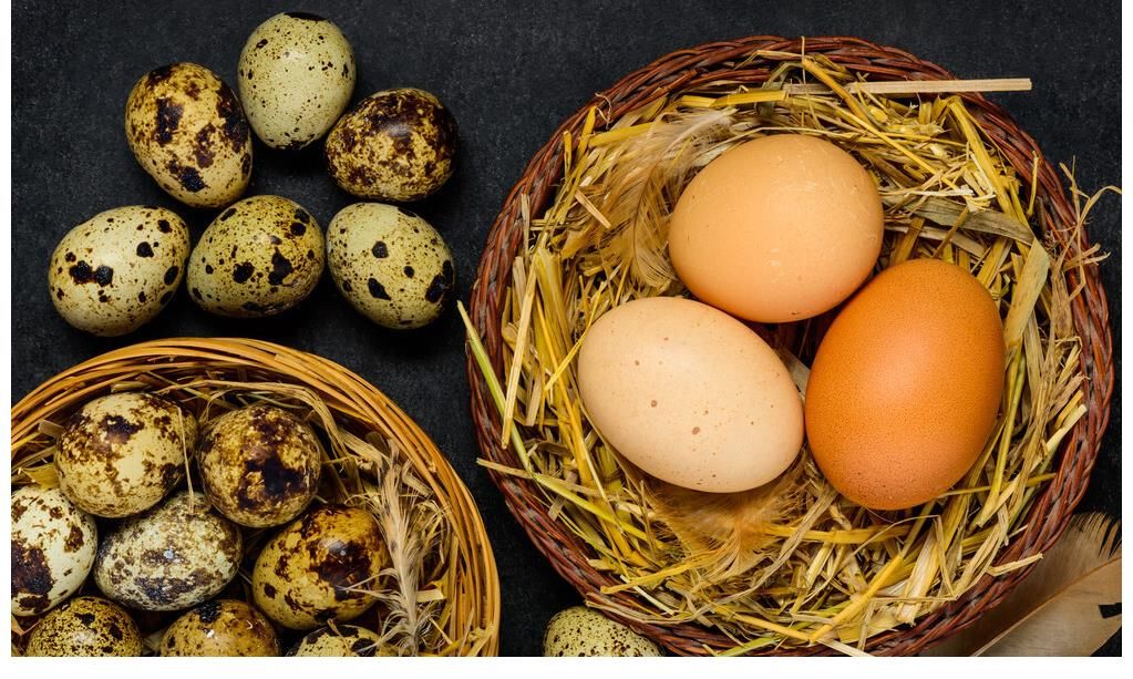 钙质|早晨是养骨最佳时间,医生:常吃3种食物,补充钙质,骨骼更健康