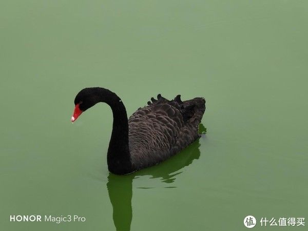 人脸识别|荣耀Magic3 Pro上手体验：高端并不只有性能，更是全能科技