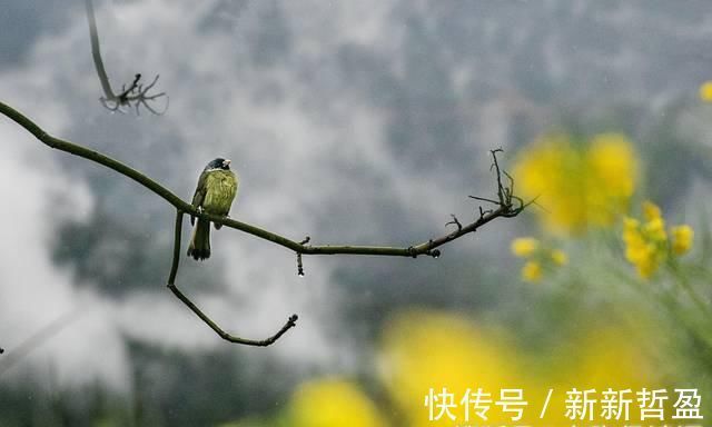 诗人&杜牧新官上任写下一首唐诗，开头“潇洒”2字，挡不住内心的矛盾