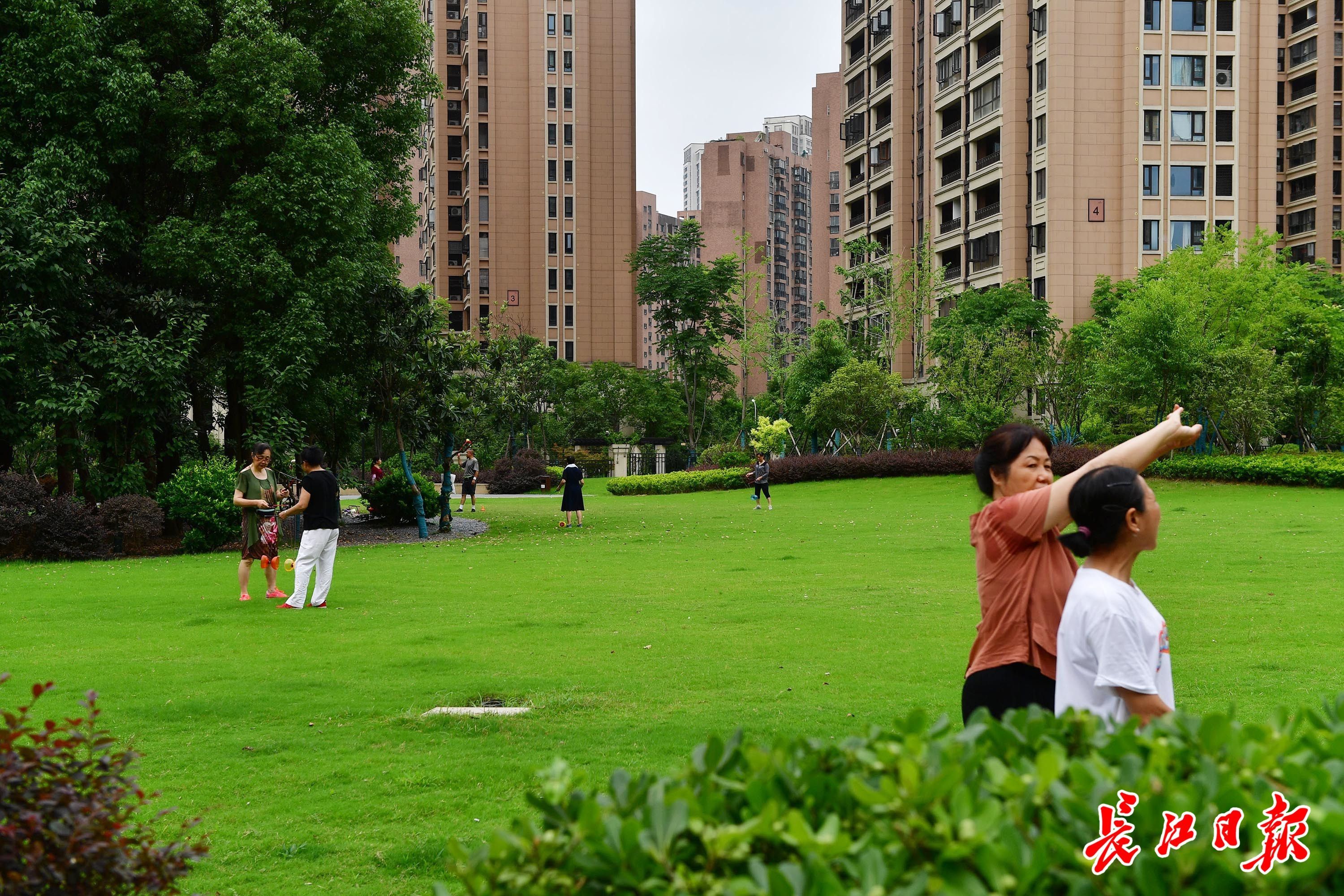 城市公园|家门口的“口袋公园”，出门享受绿意生活