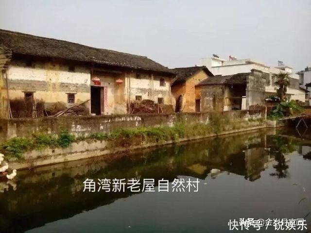 广东南雄角湾村有段古:大黄牛单挑华南虎,赢!!!