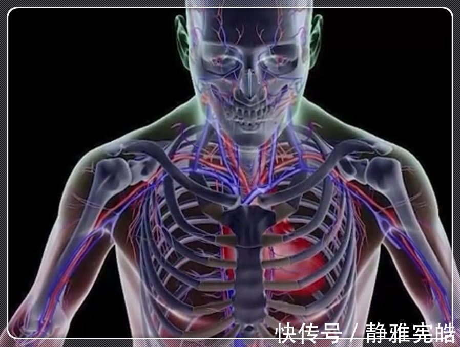 海带|血管不好的人,牢记3种食物,每天吃,血管不再堵,血液不再黏稠