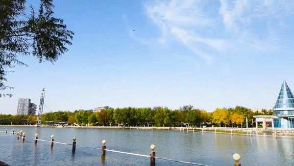 迷路|克拉玛依河，扎“沙漠美人”腰部的绿色绸带