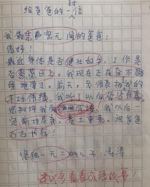 小学生作文《给爸爸的一封信》，100字用11个成语，网友甘拜下风