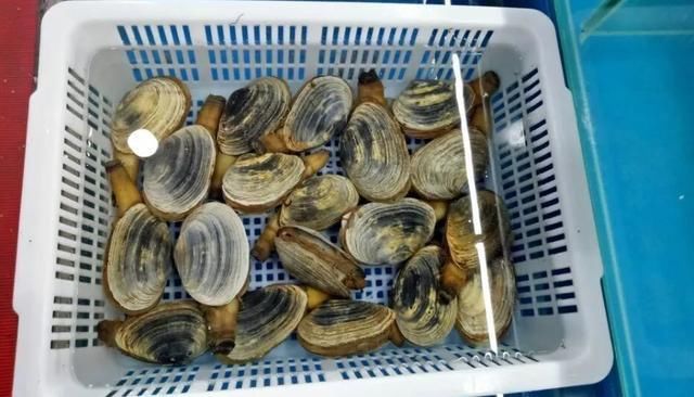 海鲜|含“寄生虫”最多的2种海鲜，没营养还贵，老板自己都不吃