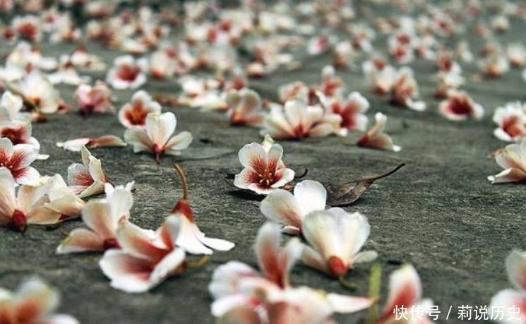 凄美|李清照凄美之作,很多人只记“物是人非事事休”,却忽略全词之美