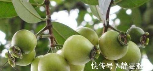 人到中年想长寿,以下食物经常吃,清肠排毒,预防便秘,延缓衰老