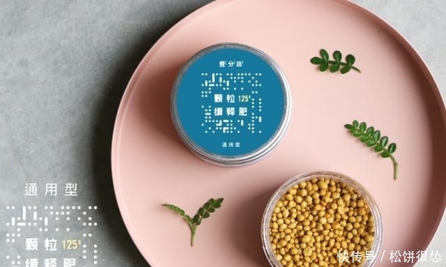 盆栽、园艺用品从网上买,还是店里买?听我来说说,保证您有收获