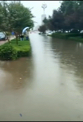 劳动|搞笑GIF：劳动人民的智慧是无穷的