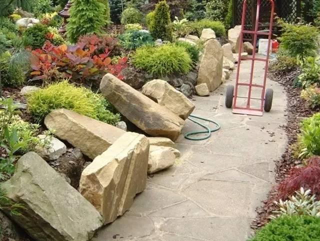  绝美|7旬夫妻用27年建绝美花园，全球花友慕名来“探花”