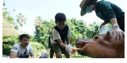 包场|全红婵包场游玩!玩遍长隆各大项目,同师妹玩水上乐园吓出表情包