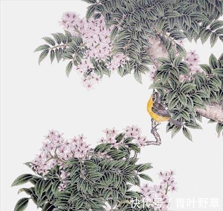 难念的经@俗语说一代做官九代绝,后半句才是经典,可惜很多人不知道