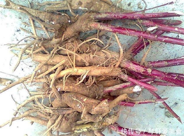 民间|农村一稀罕野草，形似苋菜，根似人参，民间称它为“见肿消”