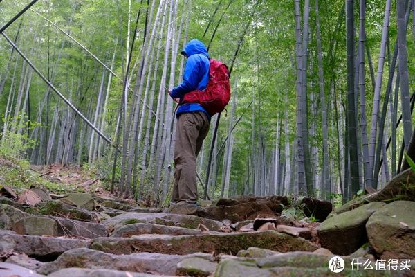 我的独家背包 篇五：新魔爪全新升级的空景背负真香OSPREY Talon 22新老对比简评