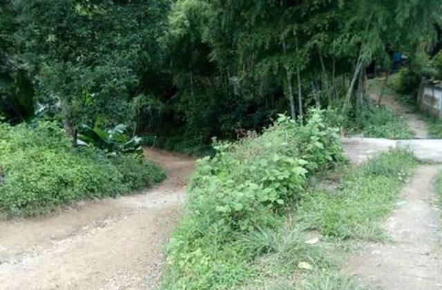 打工仔回到家乡,再钓一次故乡河里的小鱼