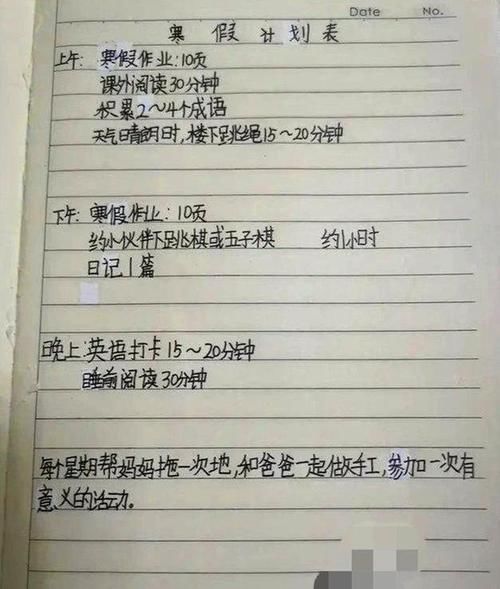 小学生“寒假计划表”火了，从早到晚满满当当，网友：魔鬼寒假