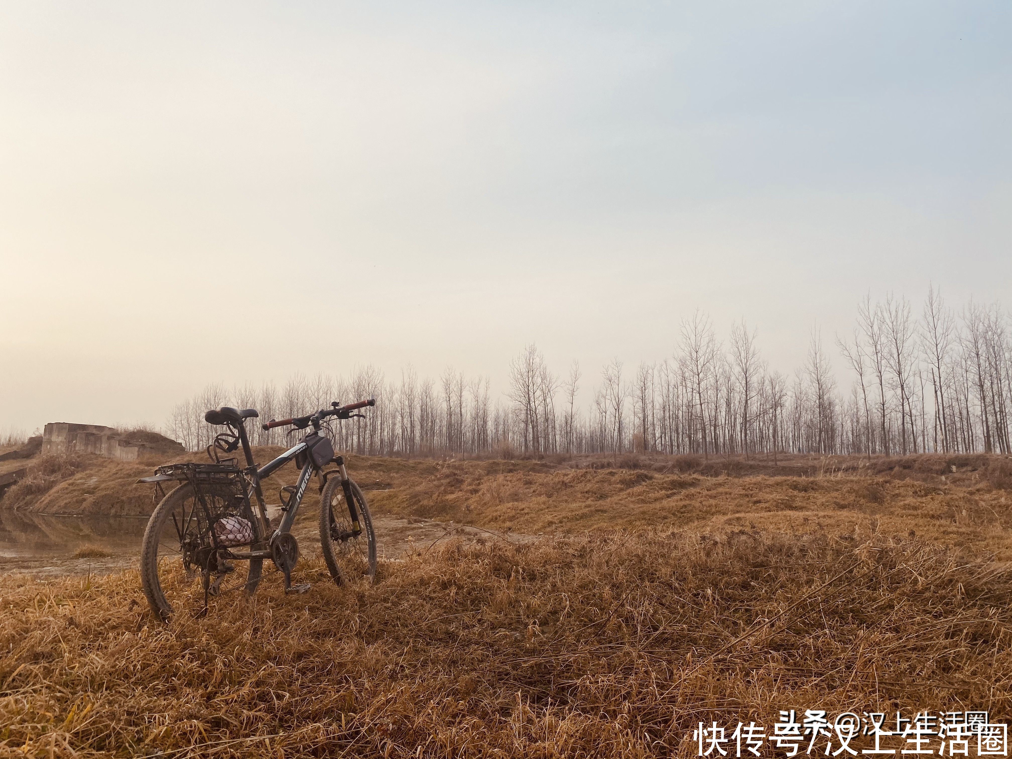 墨秋日曰：独卧溪边任水流，静坐青石意悠悠，风爱荒野