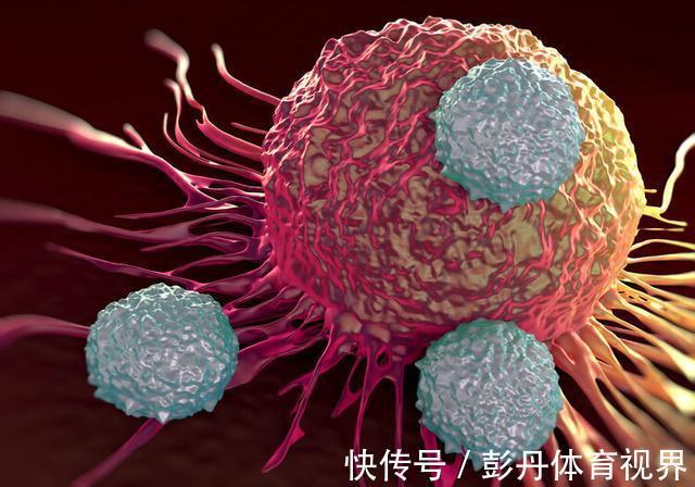 吃糖|癌细胞喜欢吃糖，断食可以饿死癌细胞？最新研究结果告诉你答案