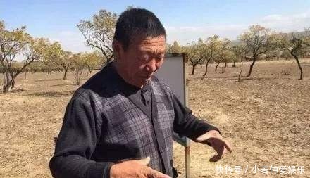 中华|村民发现“中华第一龙”,却被当成废品扔在库房,专家:太可惜了