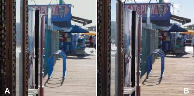 R5|iPhone12Pro和佳能R5拍照对比：4倍的差价，差距原来有这么大