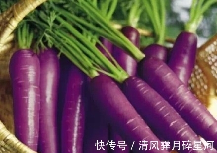 生活中的冷知识,增加奇怪的知识,一起来变得博学吧