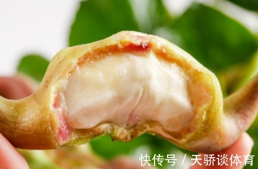 藕片|64岁糖尿病院士:降糖冠军并非苦瓜,你若喜欢吃,血糖或变通透