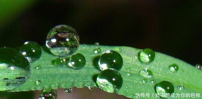 灵活|李商隐的这首《细雨》,写得灵活而新鲜,通篇写雨没有一个雨字!